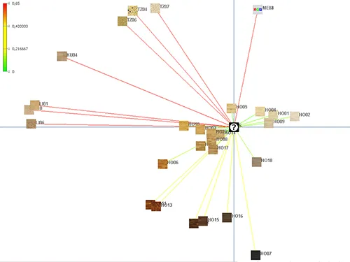Forschung Dissertation