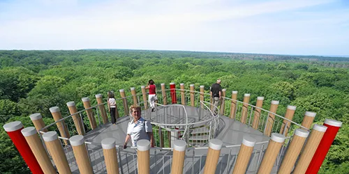 Visualisierung Aussichtsturm